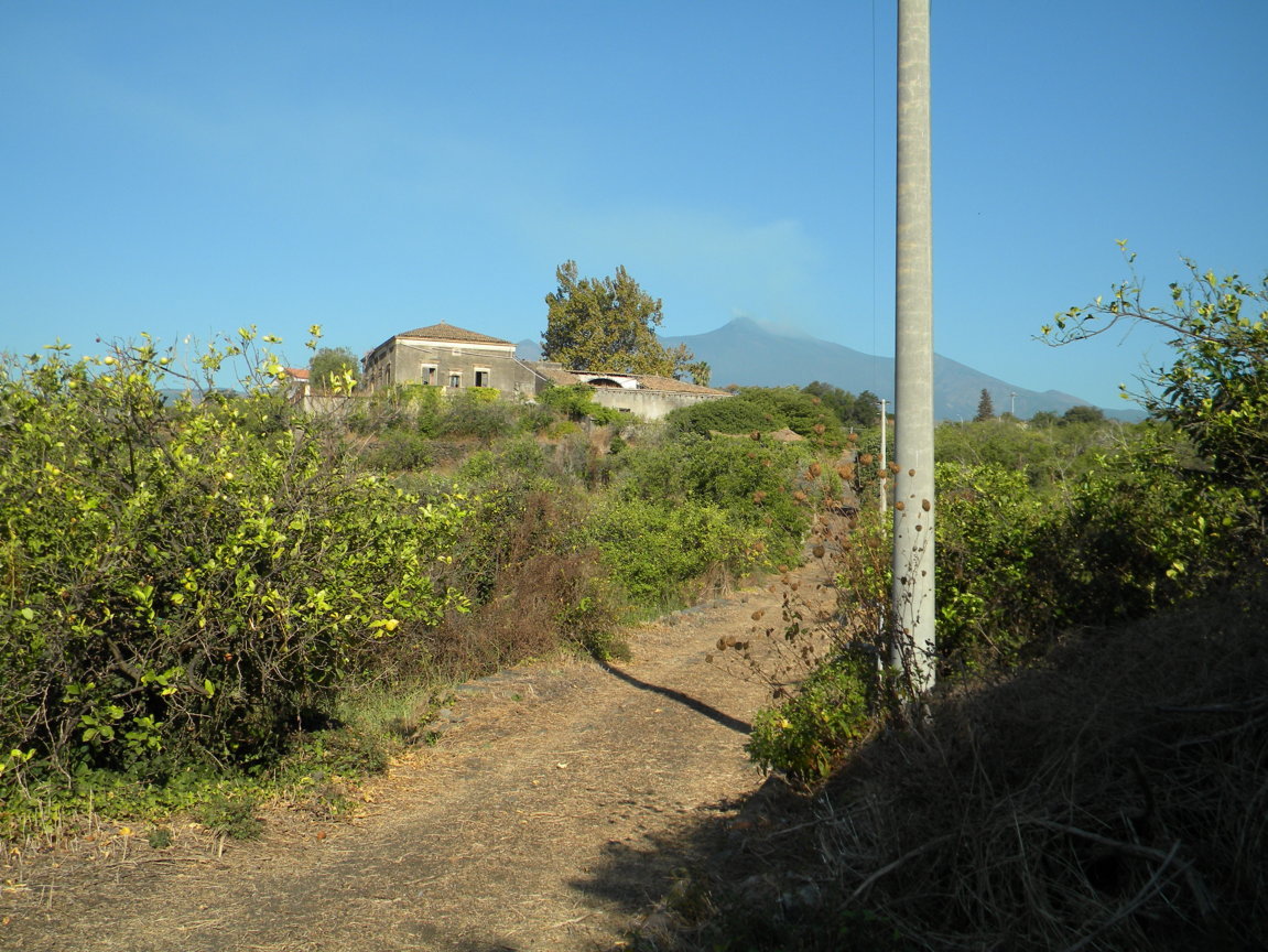 DSCN8116 .JPG
